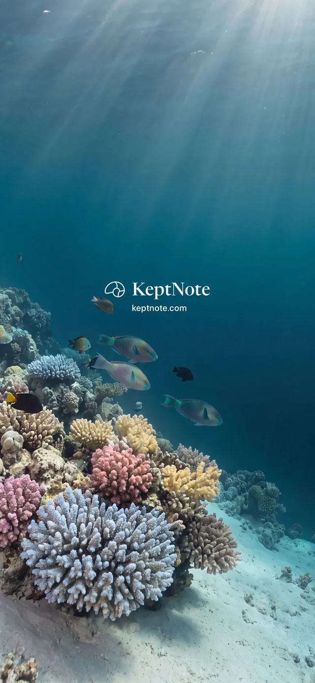 A tall view of a coral slope in blue water with parrotfish, with the KeptNote name on the open water in the middle.