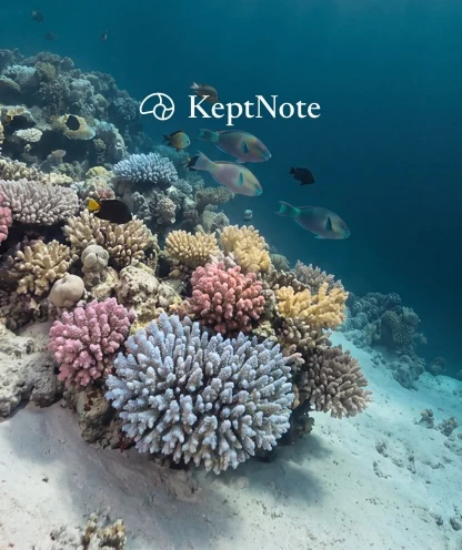 A square crop of a coral slope in blue water, with the KeptNote name in the open water above the reef.