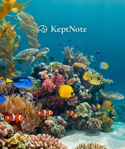 A square crop of a sunlit reef with a turtle, tang and clownfish, with the KeptNote name in the open water above the reef.